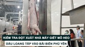 Tin nóng: Kiểm tra đột xuất nhà máy giết mổ heo; Dầu loang tấp vào bãi biển Phú Yên