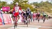 Elia Viviani là chân rút quan trọng của đội Cofidis.