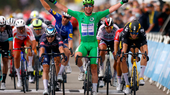 Mark Cavendish hồi sinh cùng Deceuninck-QuickStep
