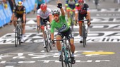 Peter Sagan từng 7 lần đoạt áo xanh Tour de France