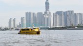 Tuyến buýt đường sông bến Bạch Đằng – Linh Đông.