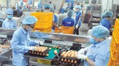 HCMC focuses on preparing goods for Tet holidays