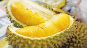 Cai Mon durians granted geographical indications