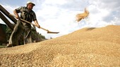 Ministry removes difficulties for enterprises importing US farm produce