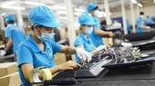Enterprises should not be vague about trade remedies