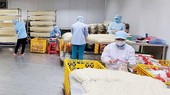 Foreign market favors Vietnamese agricultural products