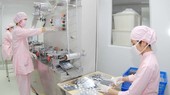 Foreign investment into HCMC remains optimistic