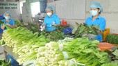Prices of vegetables, fresh foods escalate