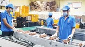 Abundant supply of Tet goods