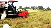 Vinafood 2 to export 2 million tons of rice to Philippines