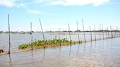 This year’s late flood and low water level have resulted in fish decline impacting on the local livelihoods.