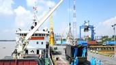 The Marine Brigade 125 in HCMC transport hundreds of tons of food and essential goods to people affected by the pandemic.