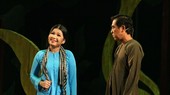 A performance by the Long An Cai Luong Art Troupe