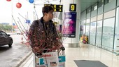 Local airlines carry apricot, peach blossoms for Tet from December 26.