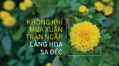 Spring atmosphere pervades Sa Dec flower village