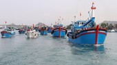 Offshore fishing vessels are required to install kinds of the necessary equipment including locators, radar, short-term/medium-term/long-term Icom, and GPS satellite navigation equipment. (Photo: VNA)