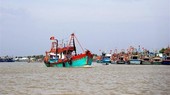 For the IUU fishing combat, the dispatch calls for more drastic actions and thorough preparations for the fourth inspection by the European Commission (EC), slated to take place from May 25-31. (Photo: VNA)