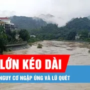 Podcast bản tin trưa 29-6: Mưa lớn kéo dài tại Bắc bộ, cảnh báo nguy cơ ngập úng và lũ quét