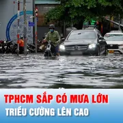 Podcast bản tin tối 22-11: TPHCM sắp có mưa lớn, triều cường lên cao