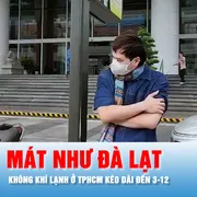 Podcast bản tin trưa 28-11: Nhiều người thích thú vì TPHCM quanh năm nóng bức, nay mát như Đà Lạt