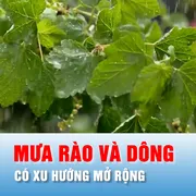 Podcast bản tin tối 23-4: Bắc bộ tiếp tục có mưa rào và dông rải rác