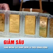 Podcast bản tin tối 8-6: Chiều 8-6, giá vàng trong nước giảm sâu