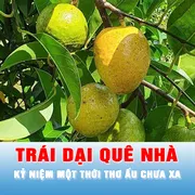 Trái dại quê nhà