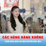 Podcast tin 17 giờ 26-1: Các hãng hàng không triển khai dịch vụ vận chuyển đào, mai
