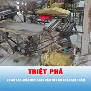 Podcast bản tin trưa 26-4: Triệt phá cơ sở sản xuất hơn 2.800 tấn mì tươi chứa chất cấm