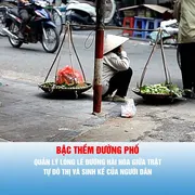 Nhịp cầu cử tri: BẬC THỀM ĐƯỜNG PHỐ