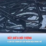 Podcast bản tin tối 25-1: Bắt nhóm đối tượng 6 lần cắt trộm dây cáp ngầm điện trung thế