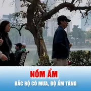 Podcast bản tin trưa 14-3: Bắc bộ bước vào giai đoạn nồm ẩm