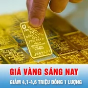 Podcast bản tin trưa 19-3: Giá vàng giảm 4,1-4,6 triệu đồng/lượng