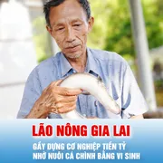 Podcast bản tin tối 7-6: Lão nông Gia Lai gầy dựng cơ nghiệp tiền tỷ nhờ nuôi cá chình bằng vi sinh