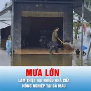 Podcast bản tin thời sự ngày 26-9: Thống kê thiệt hại do mưa lớn kéo dài tại Cà Mau