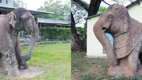 Cặp tượng voi đá thành Đồ Bàn ở tỉnh Bình Định được công nhận bảo vật quốc gia