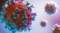 Dead Japanese expert infected with new 20C-coronavirus variant
