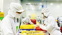 Program OCOP enhances consumption of Vietnamese farm produce