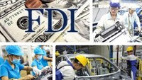 Ministry assesses profit and loss of FDI enterprises