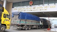 Exporters of medicine herbs must register before selling to Chinese market