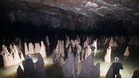 Phong Nha-Ke Bang National Park topped the list of “Most Hospitable Destination” in Vietnam via annual Traveler Review Awards 2020 announced by Booking.com.