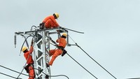 Uncertainties delaying Electrical Power Plan