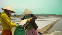 Giá muối tại Quảng Ngãi tăng cao 4.000 đồng/kg, diêm dân không còn muối để bán