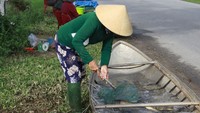 Quảng Ngãi: Độc đáo đưa ghe ra đường lộ bán cá đầu xuân