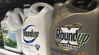 法國國家食品環境及勞動安全管理局(Anses)宣佈將36種含草甘膦(Glyphosate)的除草劑下架。(示意圖源:互聯網)