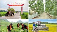 二〇二一至二○二五年可持续减贫国家目标计划的目标是实现多维减贫、限制返贫、正当致富。