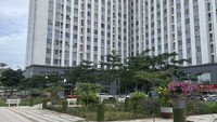 在本市的一个社会住房项目。