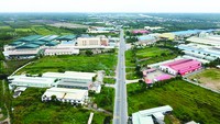 Đường tỉnh 830 - tuyến đường huyết mạch vận chuyển hàng hóa từ các khu, cụm công nghiệp trên địa bàn các huyện Đức Hòa, Bến Lức, Cần Đước, Cần Giuộc… ra cảng Long An