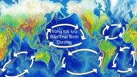 Ảnh minh họa vòng hải lưu Bắc Thái Bình Dương