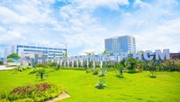 Nhiều trường tuyển sinh ngành học mới